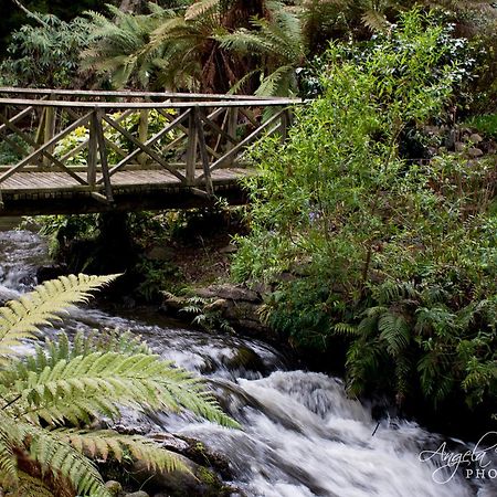 Bed and Breakfast Frankie & Hugh'S Ohakune Esterno foto